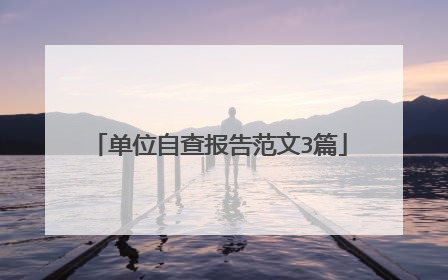 单位自查报告范文3篇