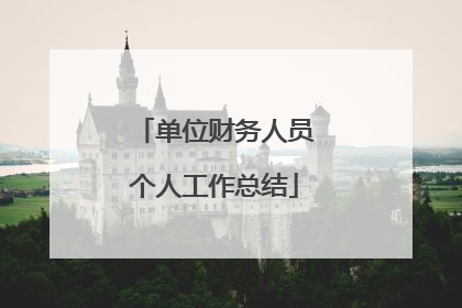 单位财务人员个人工作总结