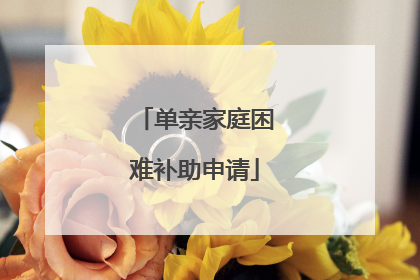 单亲家庭困难补助申请
