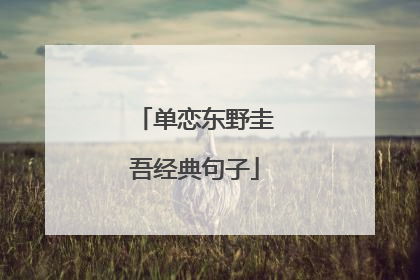 单恋东野圭吾经典句子