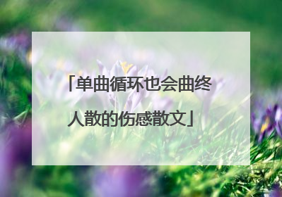 单曲循环也会曲终人散的伤感散文