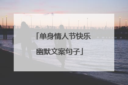 单身情人节快乐幽默文案句子