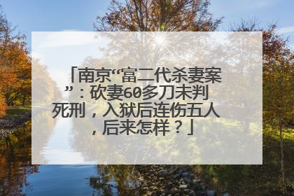 南京“富二代杀妻案”:砍妻60多刀未判死刑,入狱后连伤五人,后来怎样?