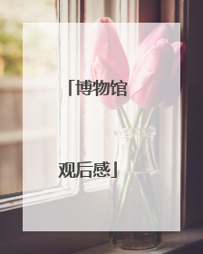 博物馆观后感