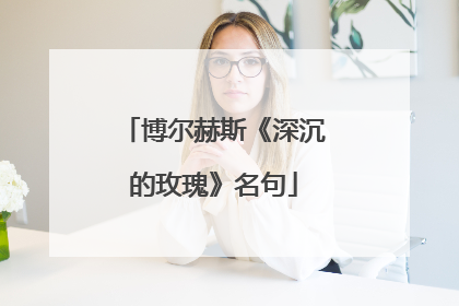 博尔赫斯《深沉的玫瑰》名句