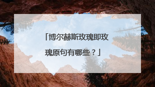 博尔赫斯玫瑰即玫瑰原句有哪些？