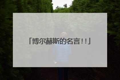 博尔赫斯的名言!!