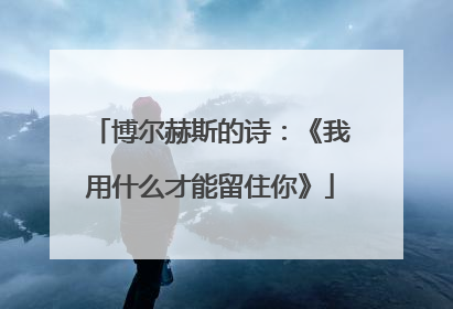 博尔赫斯的诗:《我用什么才能留住你》