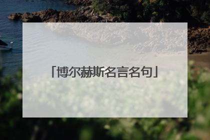 博尔赫斯名言名句