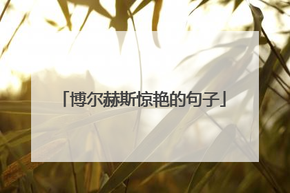 博尔赫斯惊艳的句子