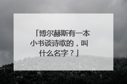 博尔赫斯有一本小书谈诗歌的,叫什么名字?