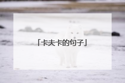 卡夫卡的句子