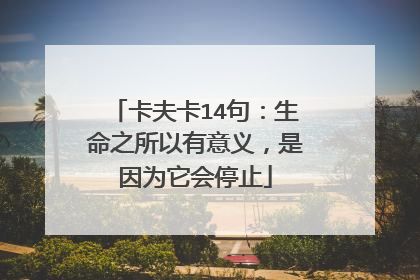 卡夫卡14句：生命之所以有意义，是因为它会停止