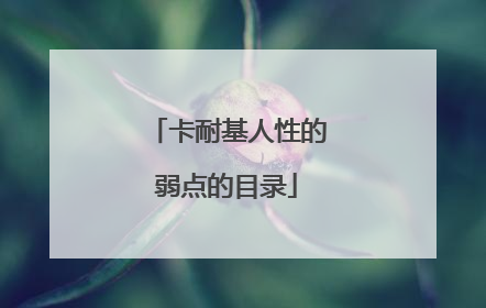卡耐基人性的弱点的目录