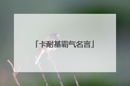卡耐基霸气名言
