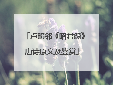 卢照邻《昭君怨》唐诗原文及鉴赏