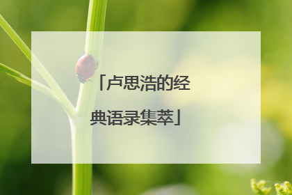 卢思浩的经典语录集萃