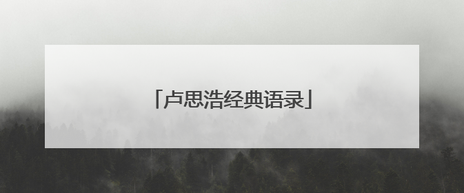 卢思浩经典语录