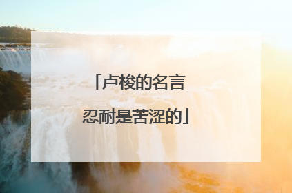 卢梭的名言 忍耐是苦涩的