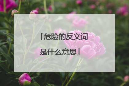 危险的反义词是什么意思