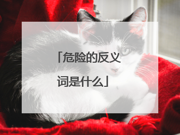 危险的反义词是什么