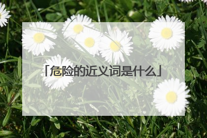 危险的近义词是什么