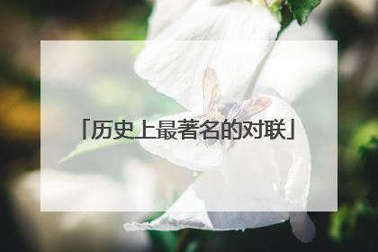 历史上最著名的对联