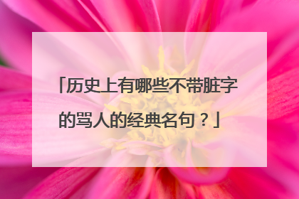 历史上有哪些不带脏字的骂人的经典名句?