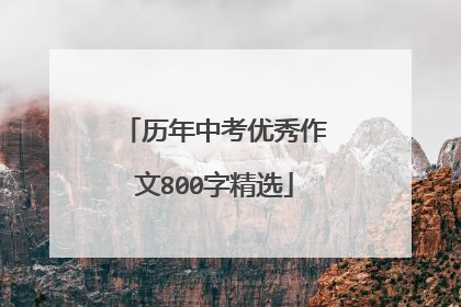 历年中考优秀作文800字精选