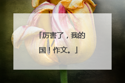 厉害了，我的国！作文。
