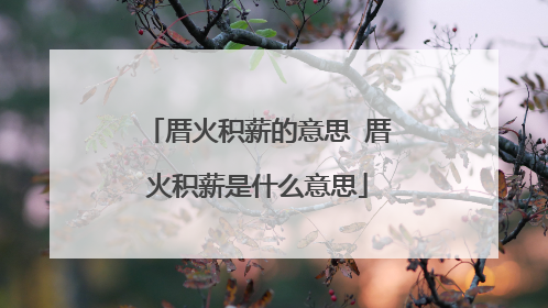 厝火积薪的意思 厝火积薪是什么意思