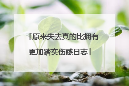 原来失去真的比拥有更加踏实伤感日志