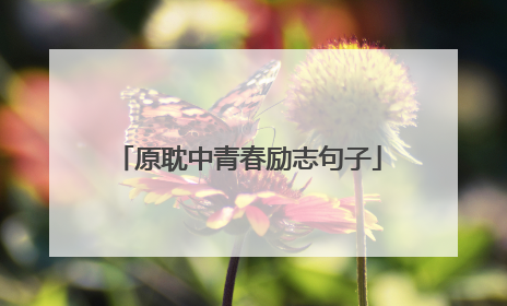 原耽中青春励志句子