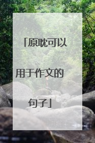 原耽可以用于作文的句子