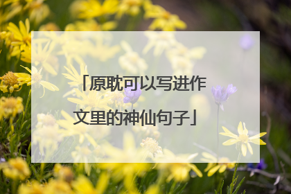 原耽可以写进作文里的神仙句子