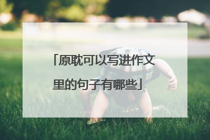 原耽可以写进作文里的句子有哪些