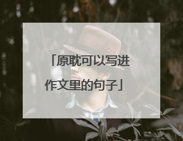 原耽可以写进作文里的句子