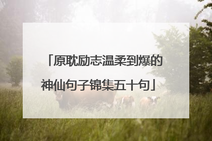 原耽励志温柔到爆的神仙句子锦集五十句