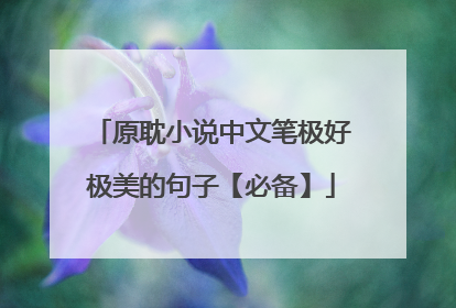 原耽小说中文笔极好极美的句子【必备】