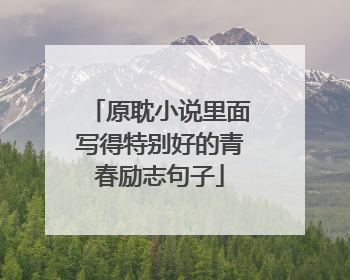 原耽小说里面写得特别好的青春励志句子