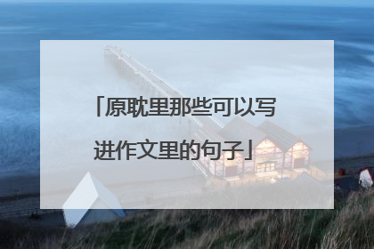 原耽里那些可以写进作文里的句子