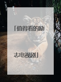 值得看的励志电视剧