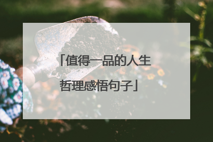 值得一品的人生哲理感悟句子