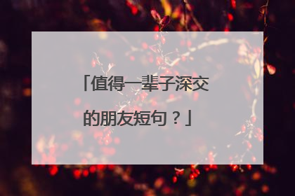 值得一辈子深交的朋友短句?