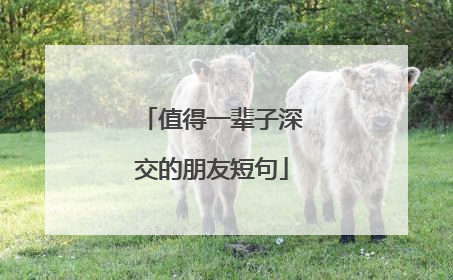 值得一辈子深交的朋友短句