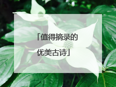 值得摘录的优美古诗