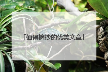 值得摘抄的优美文章