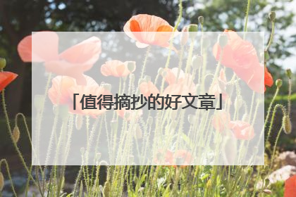 值得摘抄的好文章