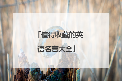 值得收藏的英语名言大全