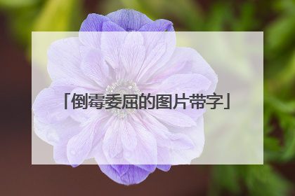 倒霉委屈的图片带字